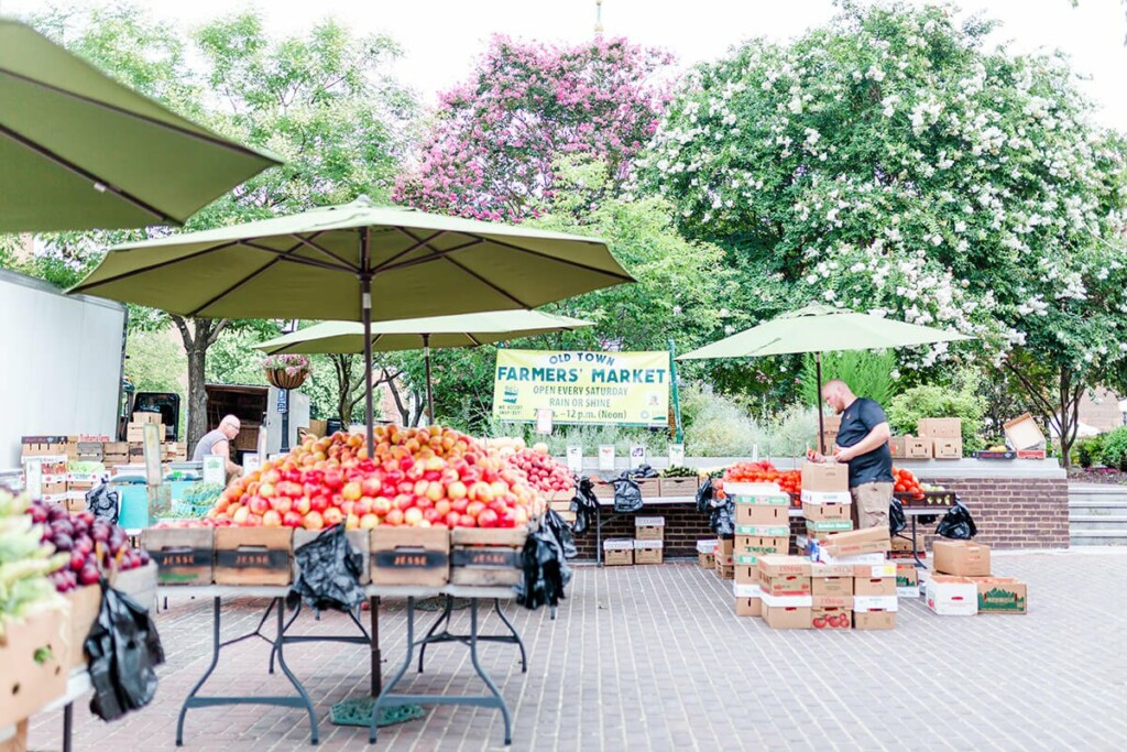 The Local's Guide to Alexandria: Attracting Guests with Authentic ...